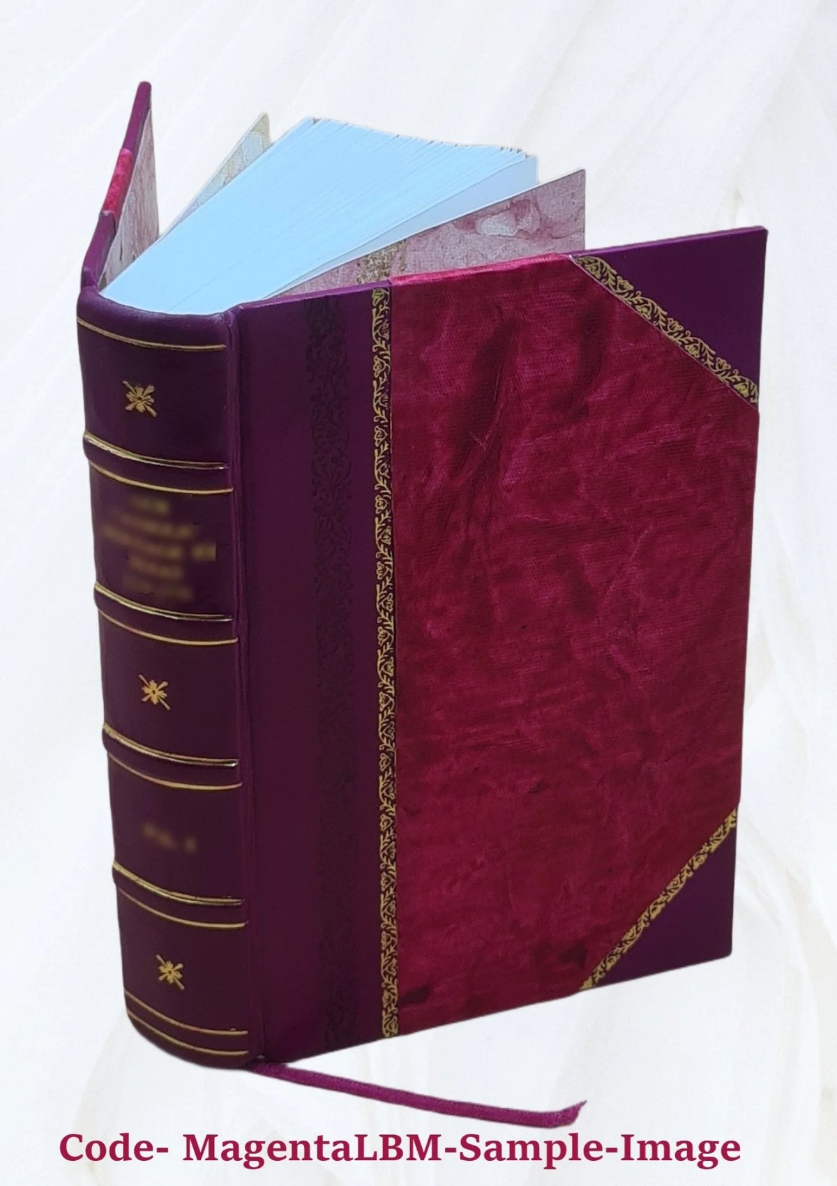 Biographical Dictionary of Contemporary Writers 1879 Leather Bound U672436