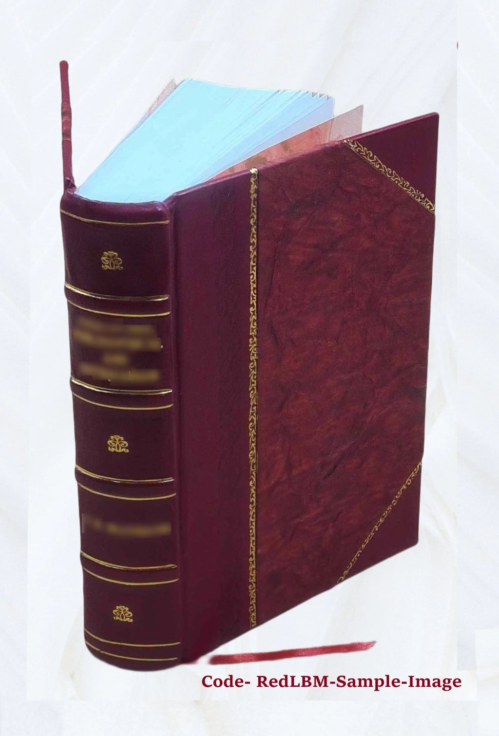 Biographical Dictionary of Contemporary Writers 1879 Leather Bound U672436