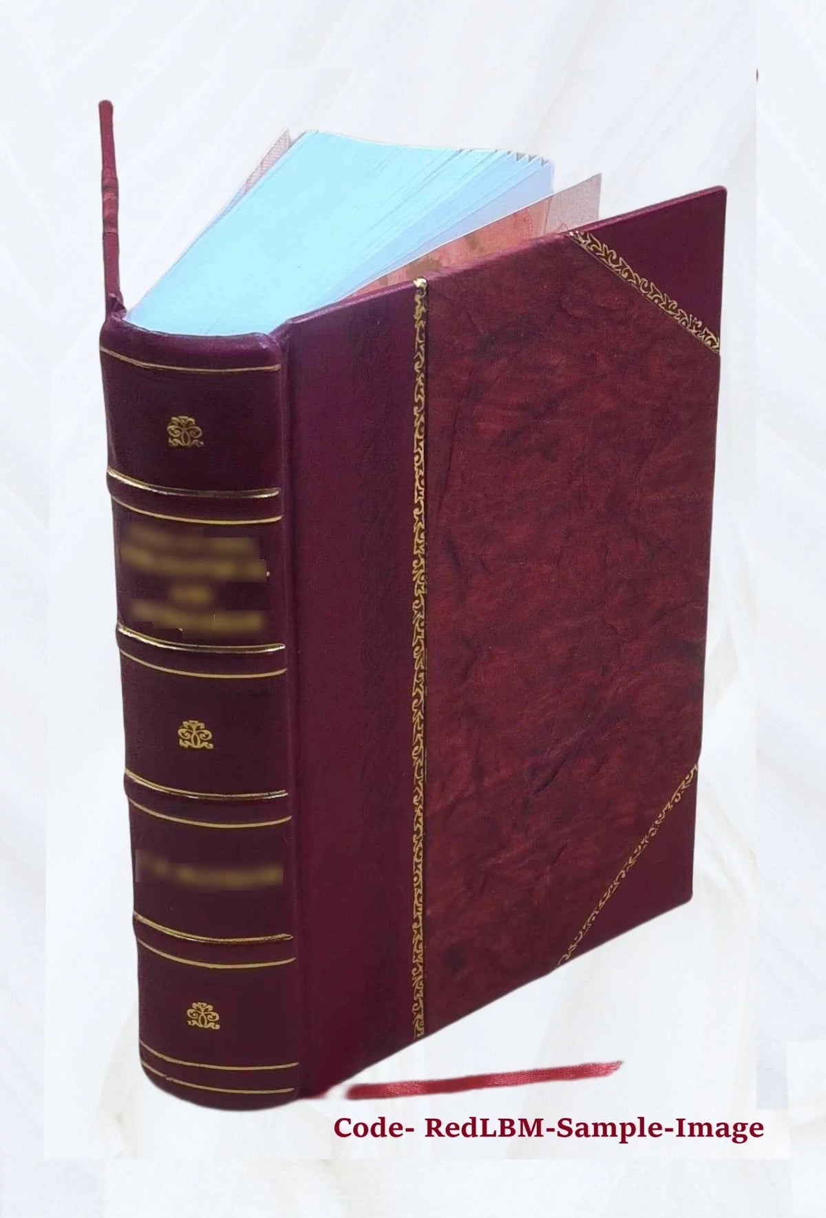 Biographical Dictionary of Contemporary Writers 1879 Leather Bound U672436