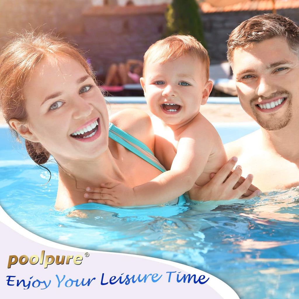 200 sq.ft Pool Filter Cartridge 1 Pack E79666