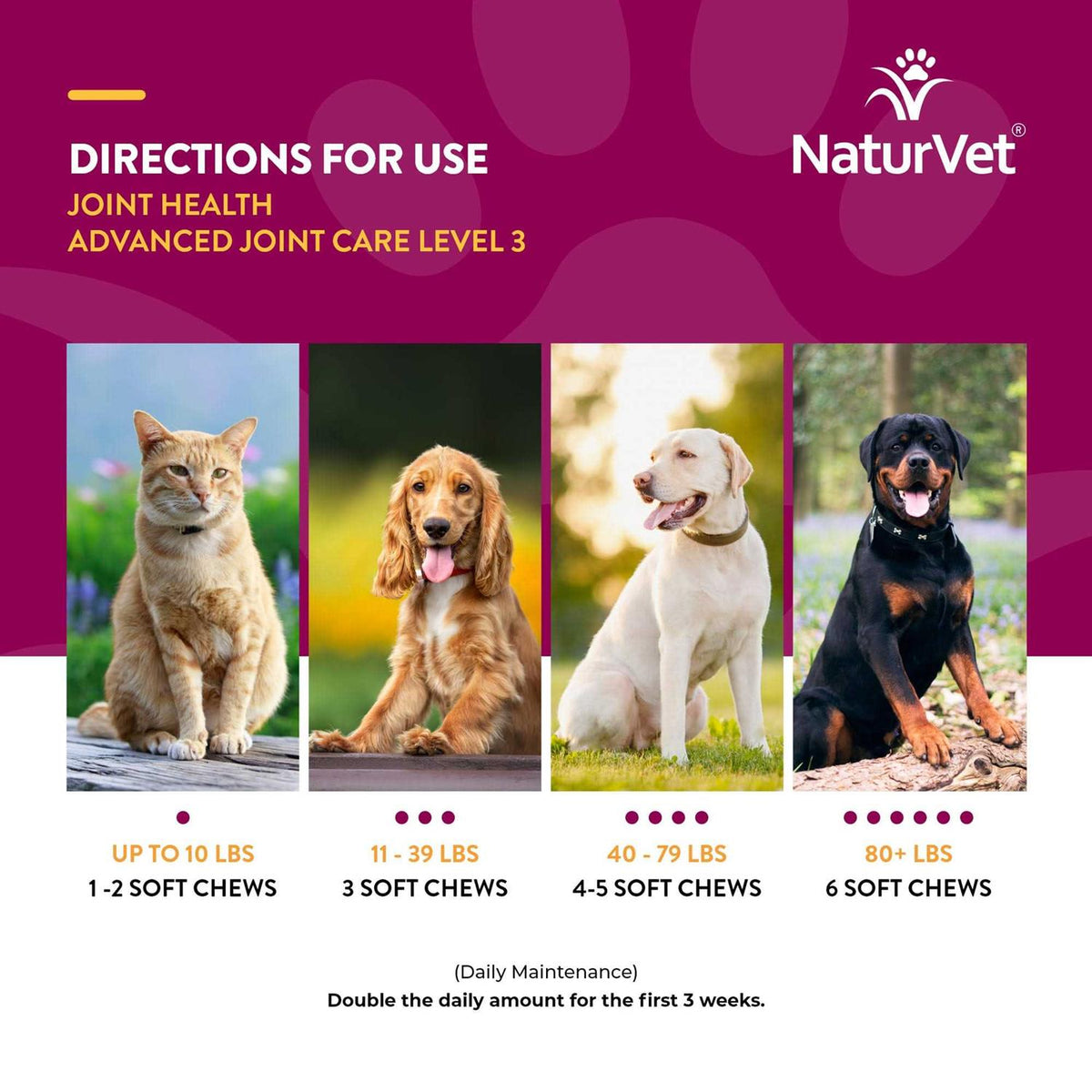 Joint Health Soft Chews for Dogs Y81591