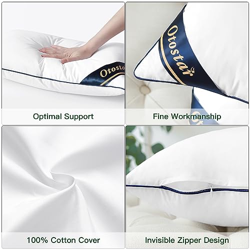 Pack of 2 Throw Pillow Inserts, 12x20, White, 100% Cotton Cover M777