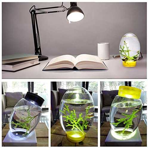 Mini Ecological Fish Tank with Led Base Y844