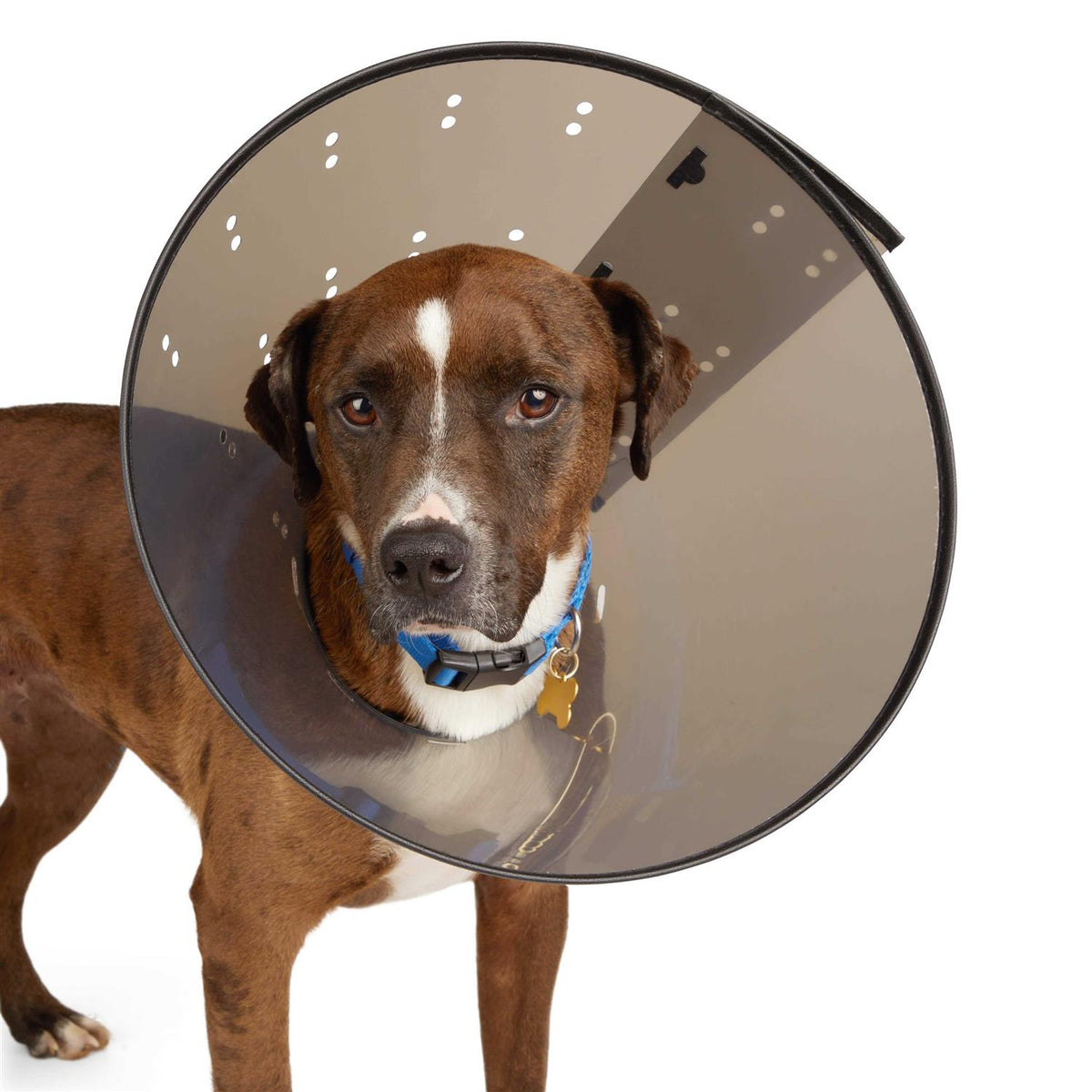 Recovery Cone Collar H78128