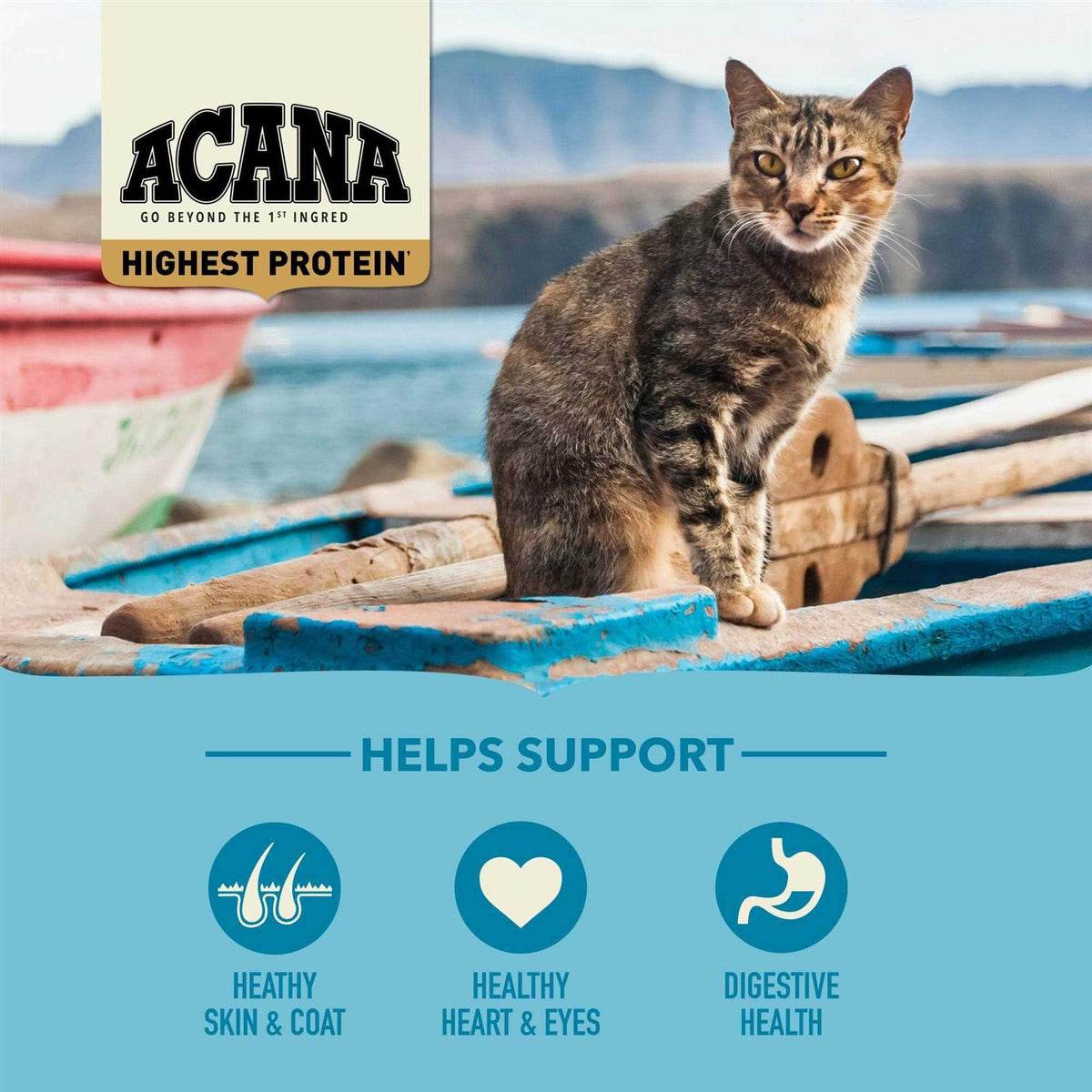 Wild Atlantic Dry Cat Food M72164