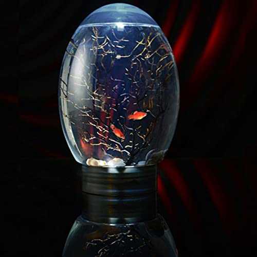 Mini Ecological Fish Tank with Led Base Y844