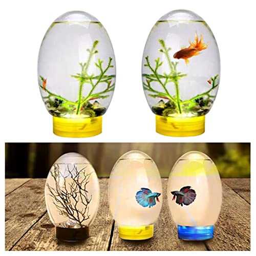 Mini Ecological Fish Tank with Led Base Y844