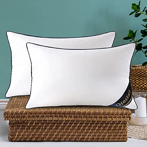 Pack of 2 Throw Pillow Inserts, 12x20, White, 100% Cotton Cover M777
