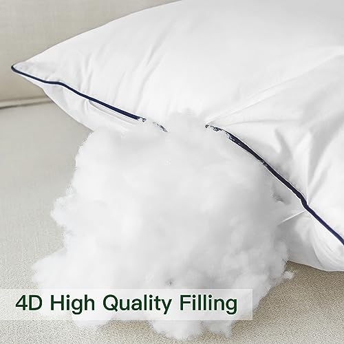 Pack of 2 Throw Pillow Inserts, 12x20, White, 100% Cotton Cover M777
