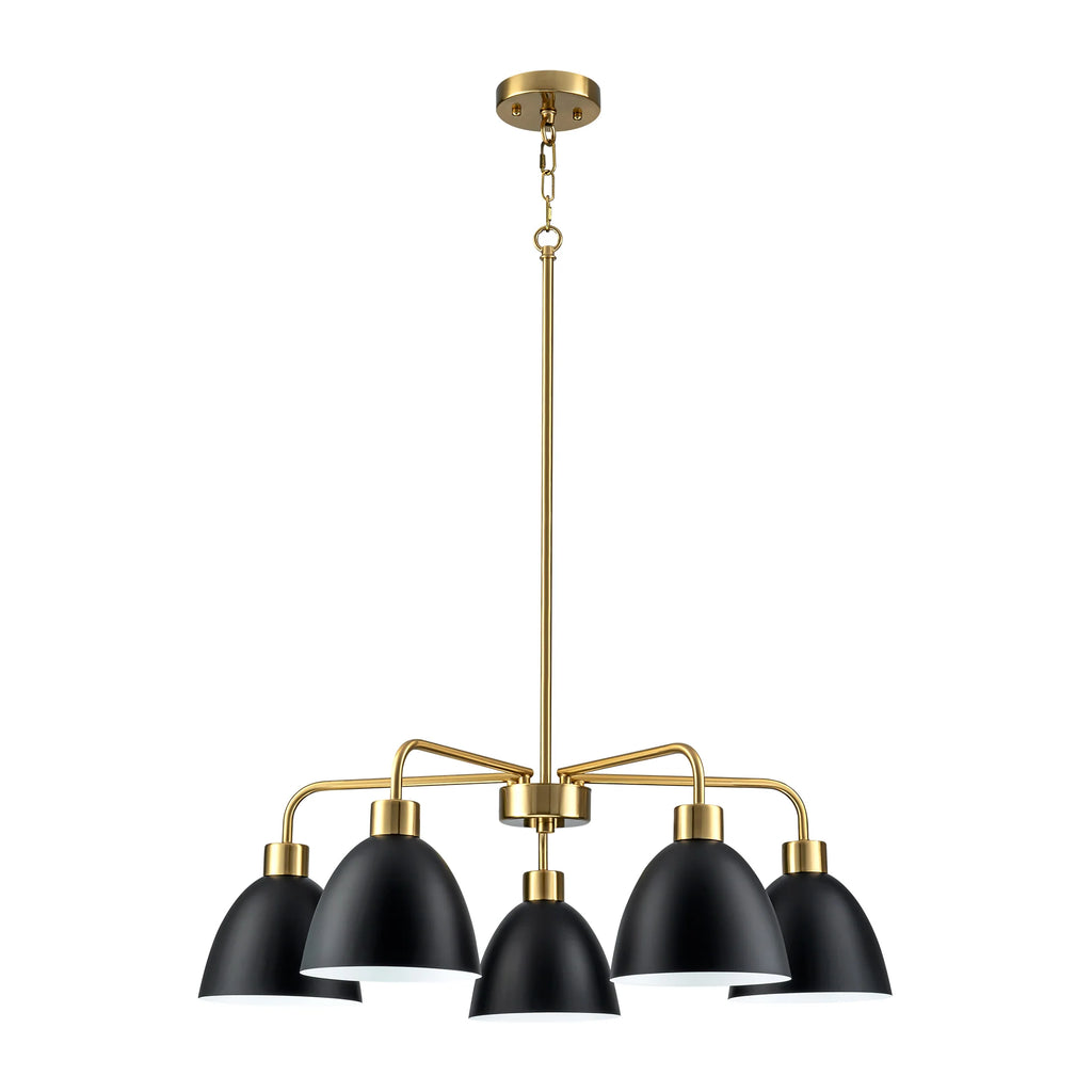 5-Light Dimmable Industrial Shaded Chandelier J296