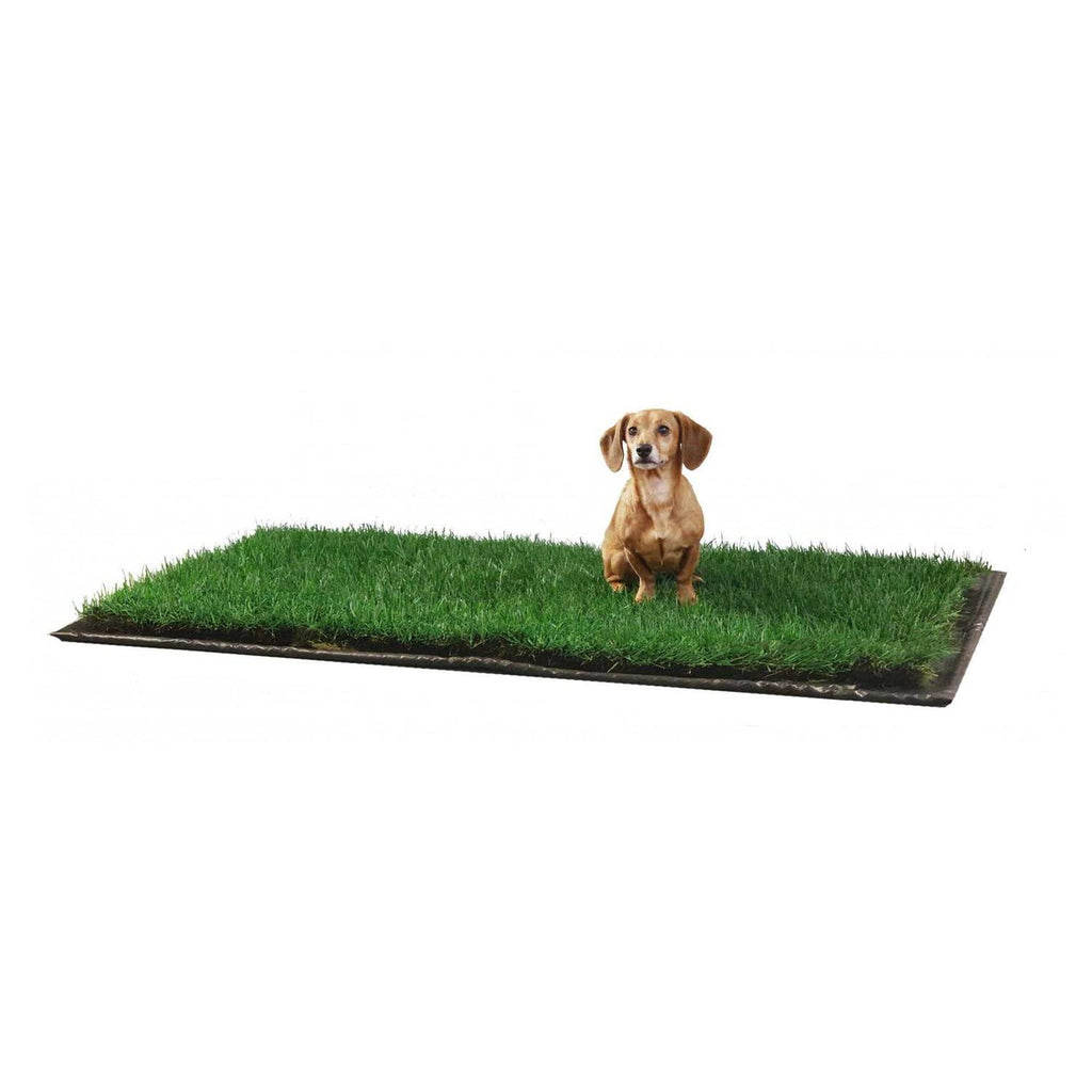 Dog Potty Real Grass T97122