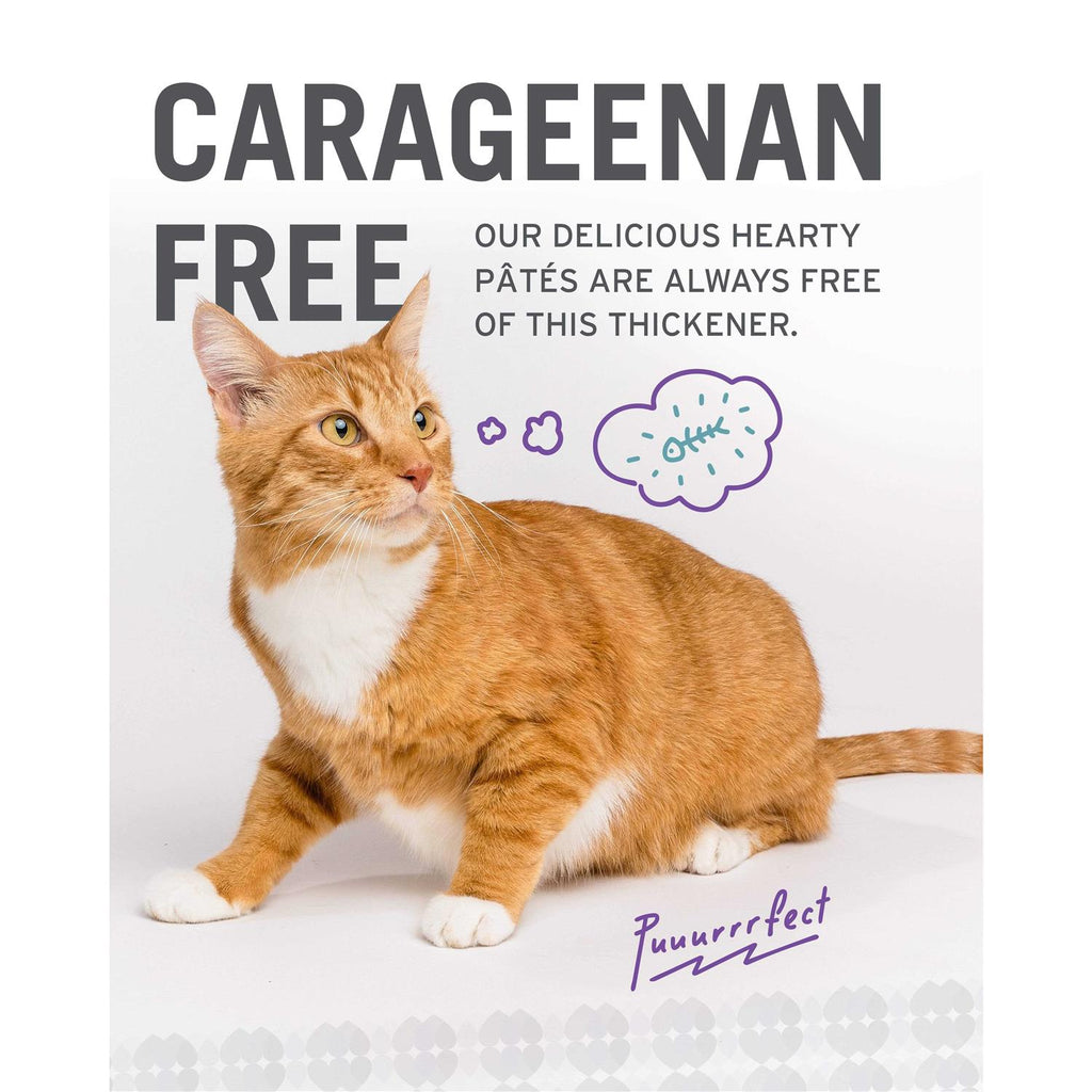 Grain Free Canned Cat Food S98132