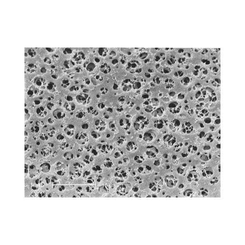 25 mm Cellulose Acetate Membrane Filter, 1.2 um, 100 Pcs B39911