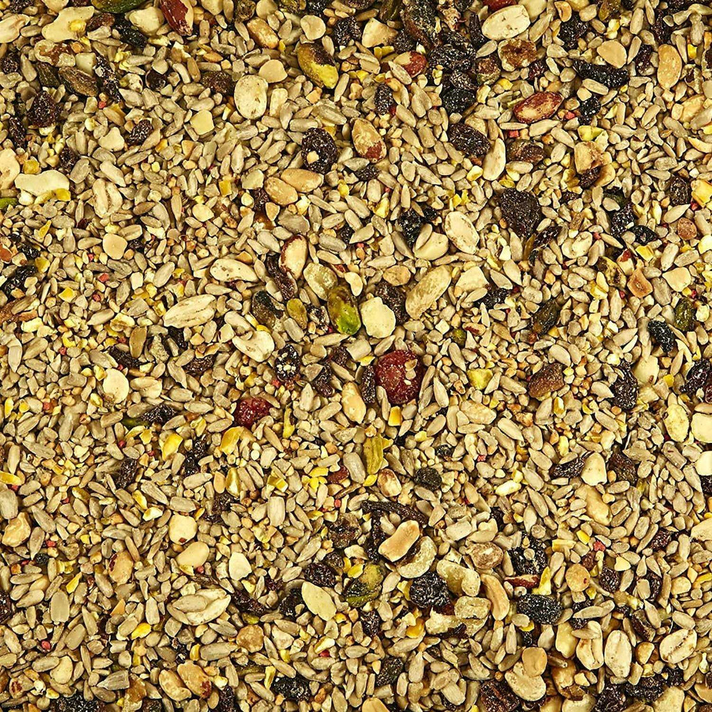 Nut & Fruit Blend Wild Bird Food M842