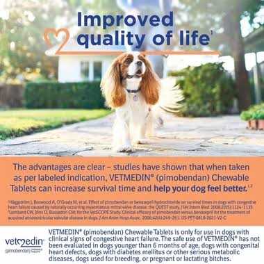 2.5mg 50 Chewable Tablets V7509