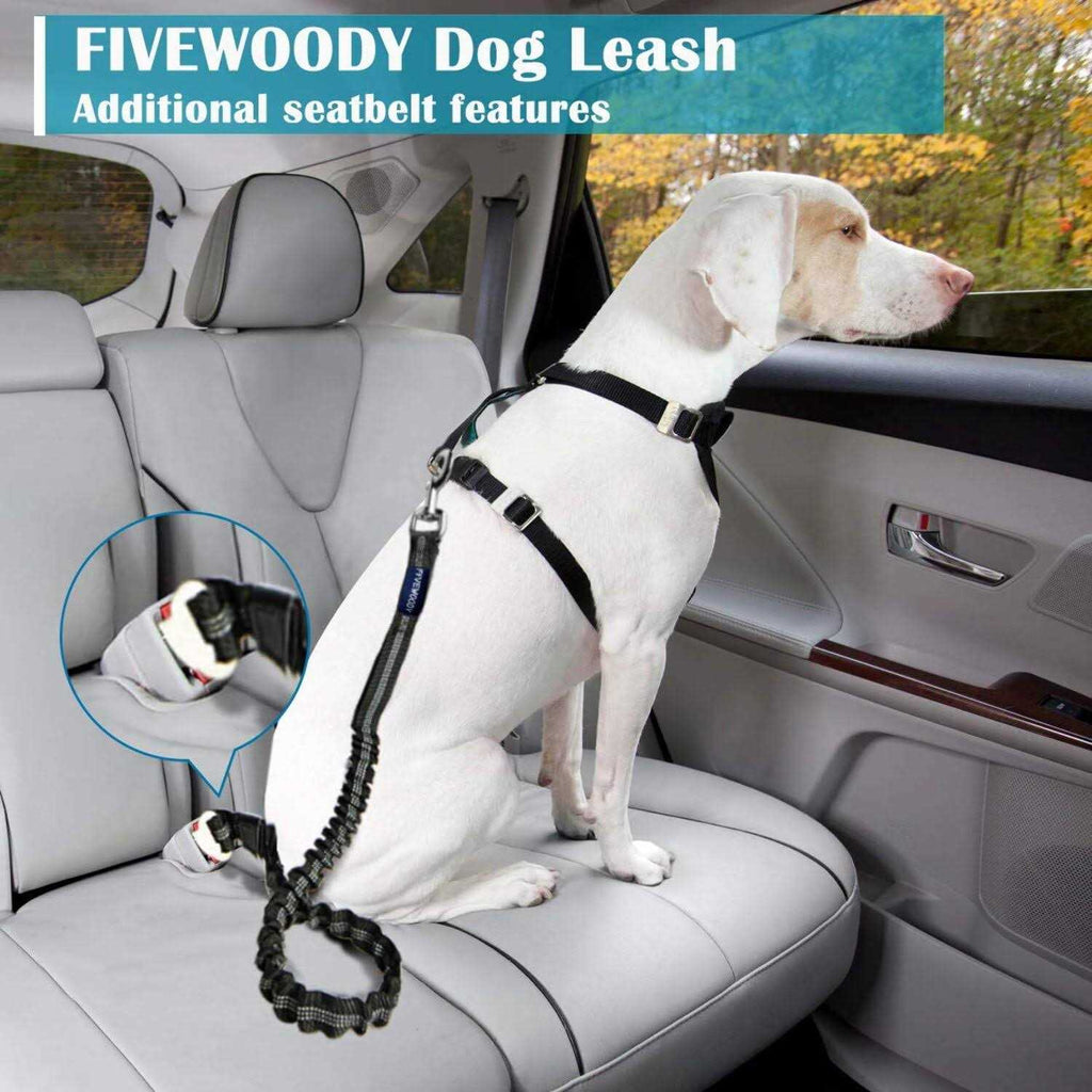 Dog Leash Bungee M41328