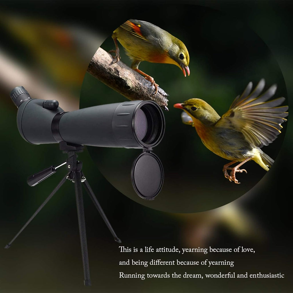 20-60x60 HD Spotting Scope with Tripod, BAK4 Prism, Waterproof Y187
