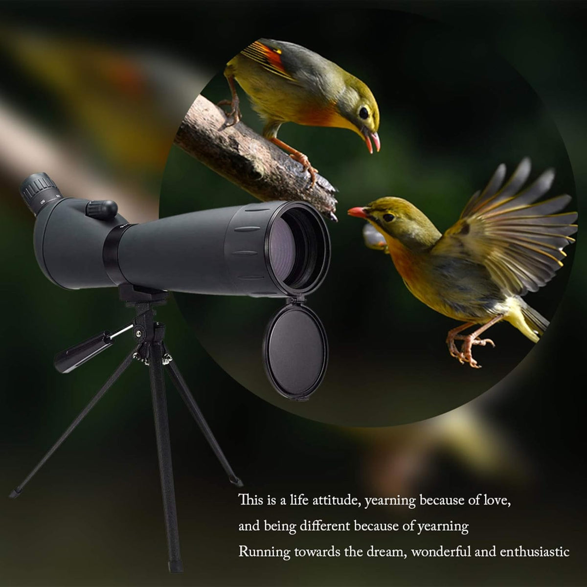 20-60x60 HD Spotting Scope with Tripod, BAK4 Prism, Waterproof Y187