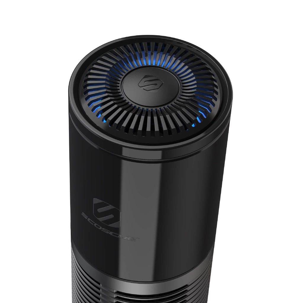 Portable HEPA Air Purifier R299