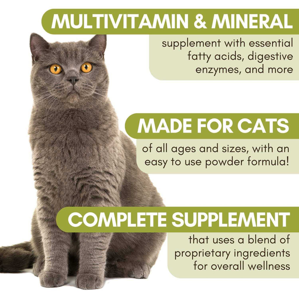 Complete Cat B4617