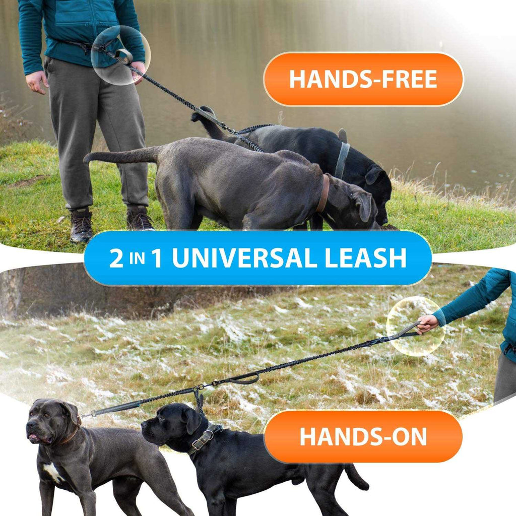 Hands Free Double Dog Leash F587216