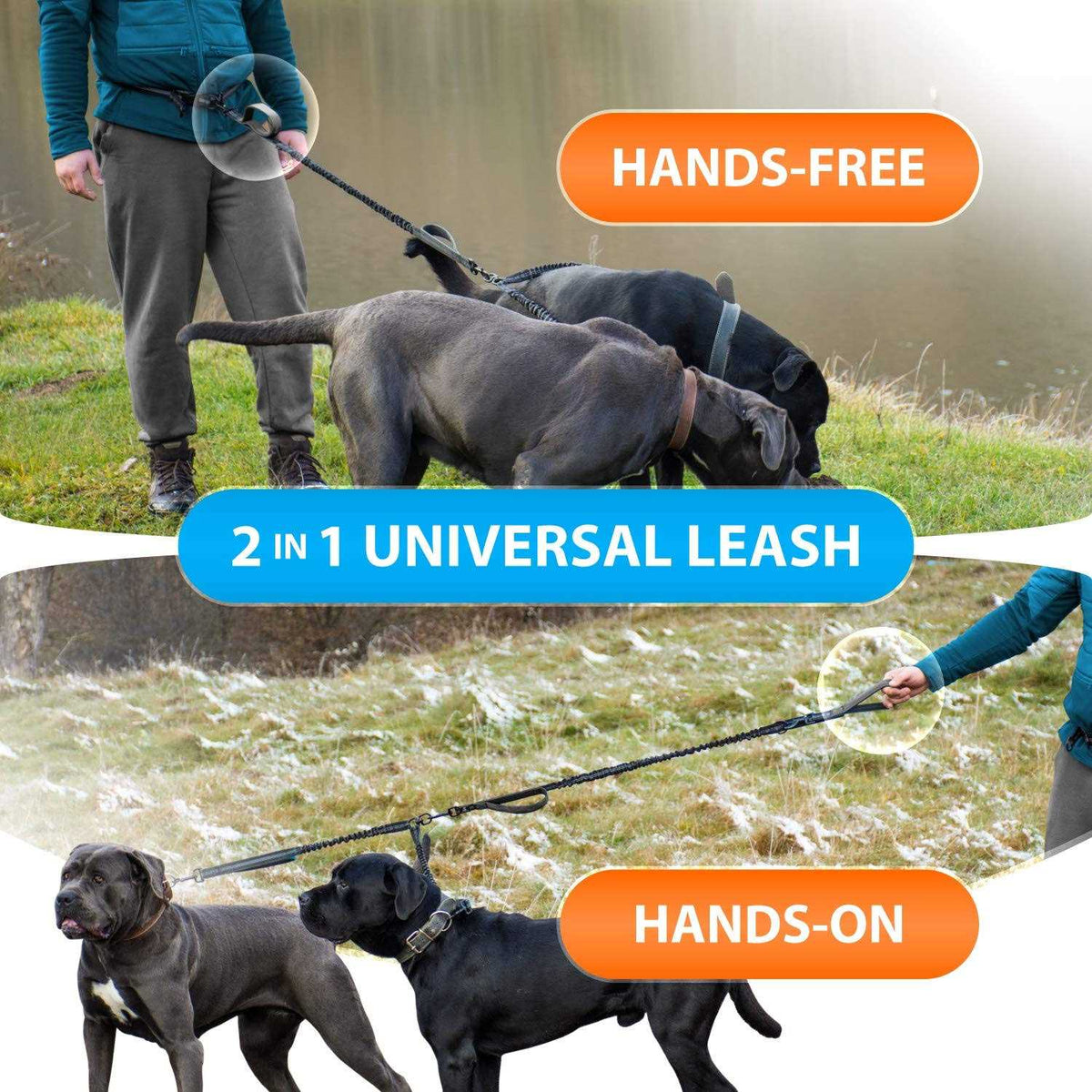 Hands Free Double Dog Leash F587216