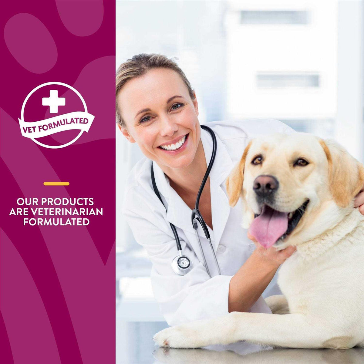 Joint Health Soft Chews for Dogs Y81591