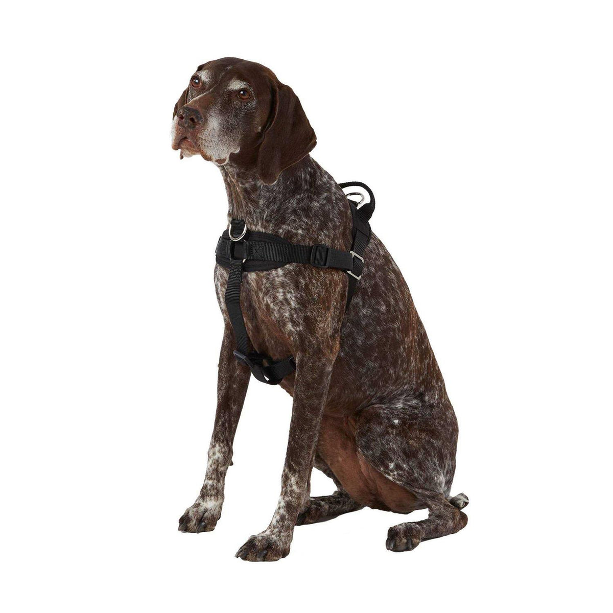 No Pull Dog Harness Z606454