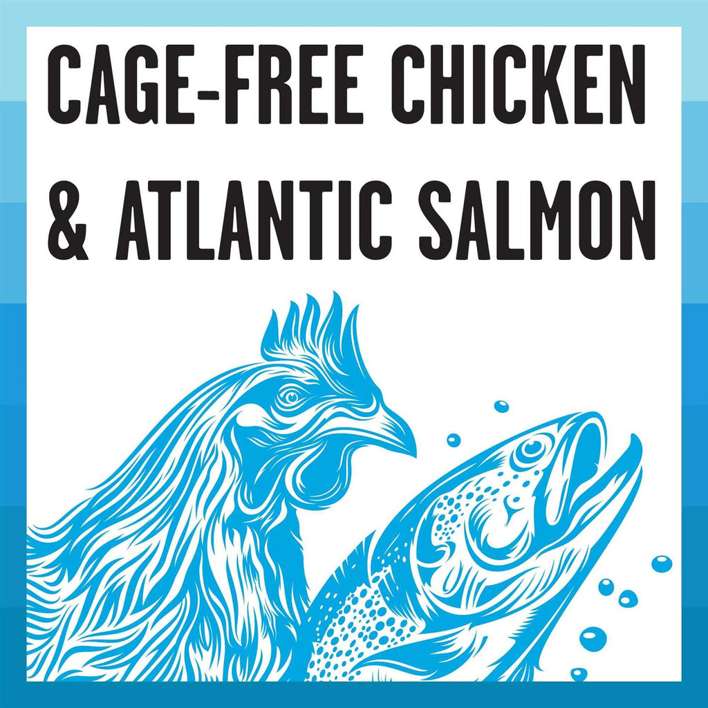 Chicken Recipe Shredded Canned Cat Food U5134