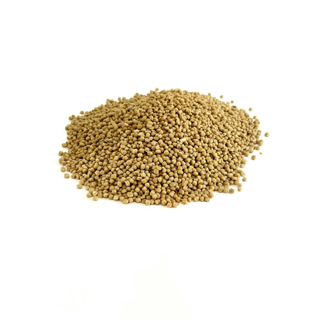 Lifetime Fine D757251