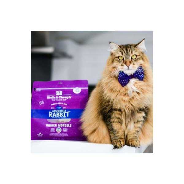 Salmon Chicken Freeze-Dried Cat Food E791