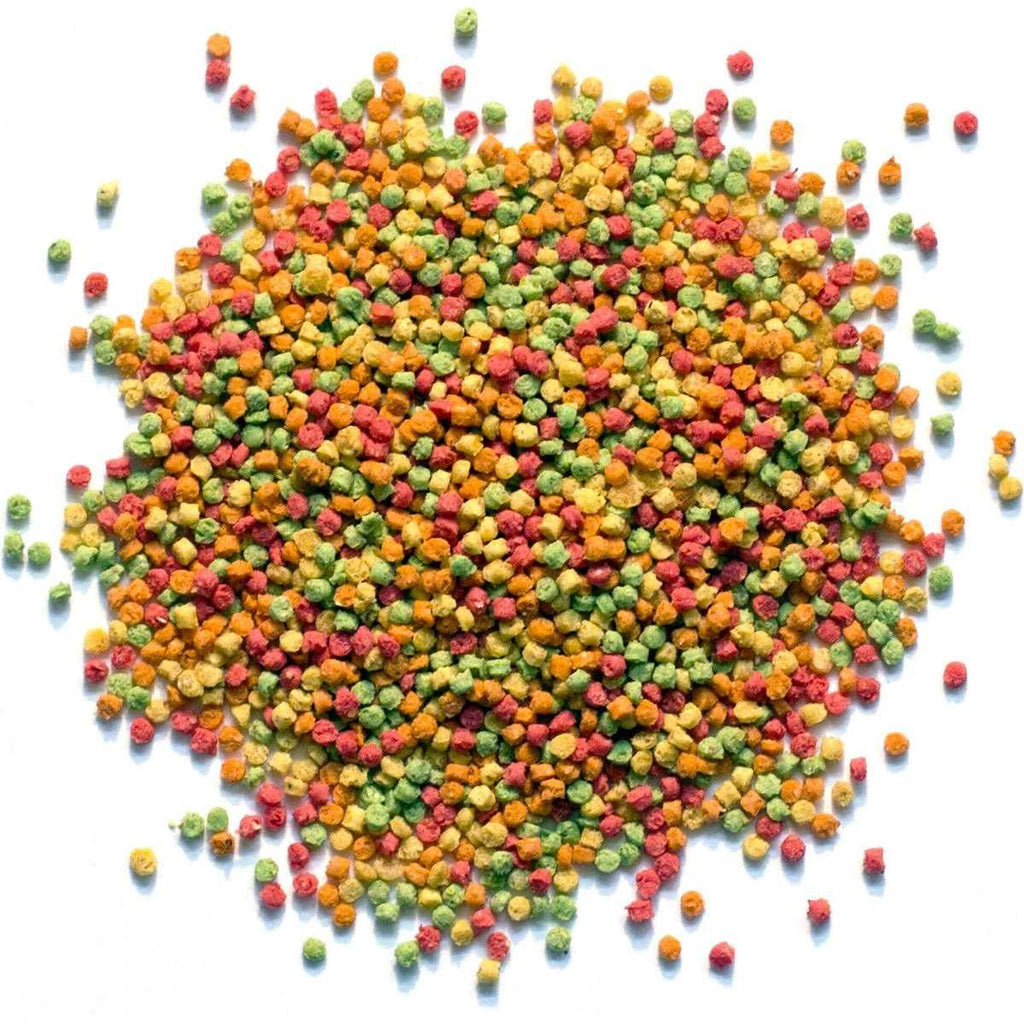 FruitBlend Flavor Bird Food P43482