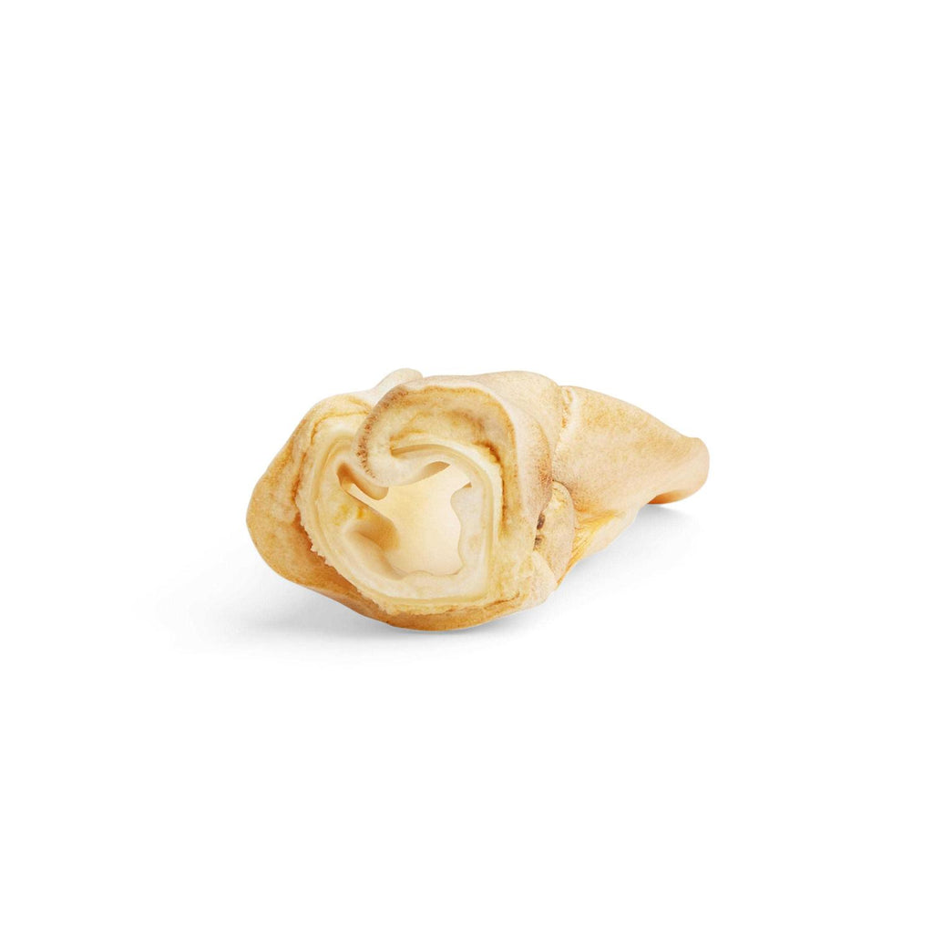 Cow Ear Dog Chew V756