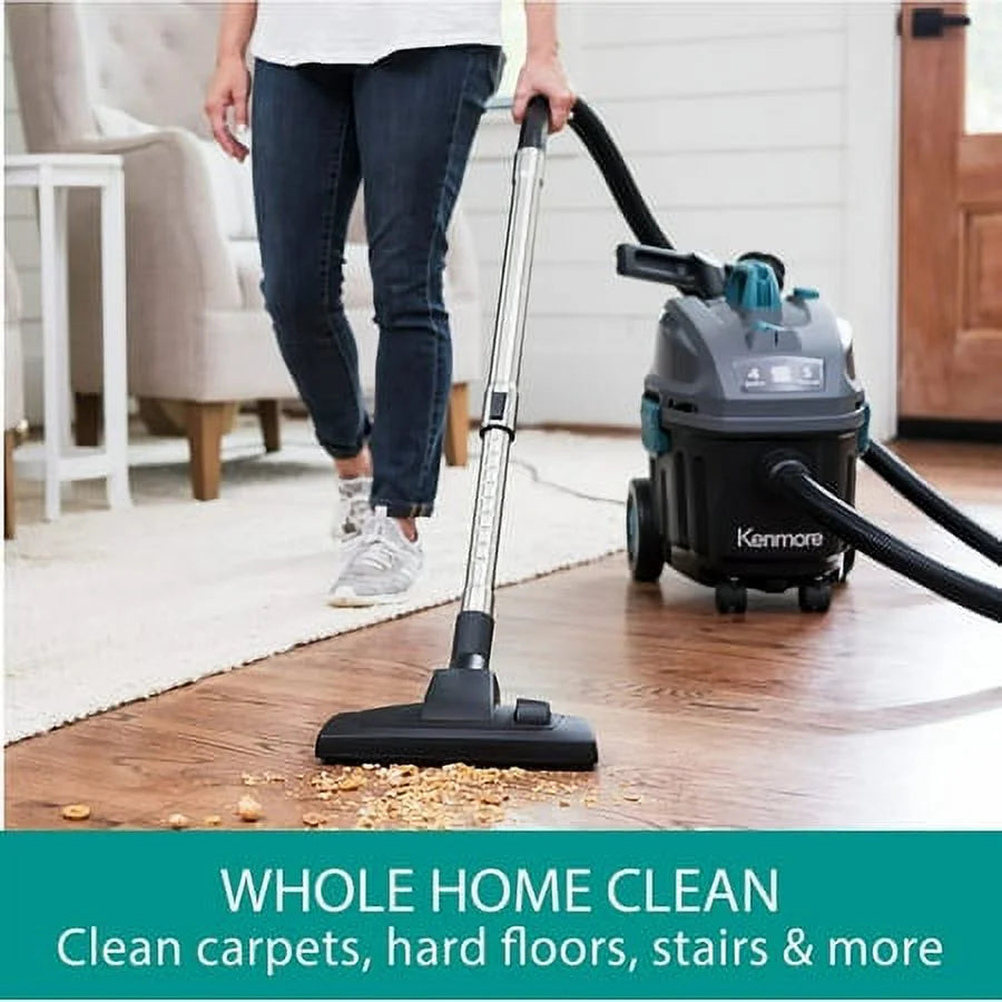 Portable Carpet Spot Cleaner & Pet Stain Vacuum L658