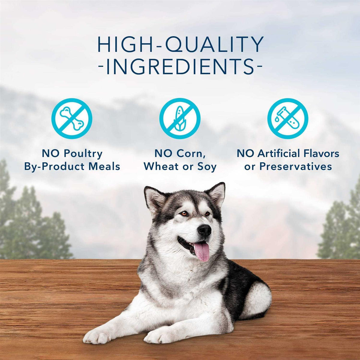 Dog Treats C69894