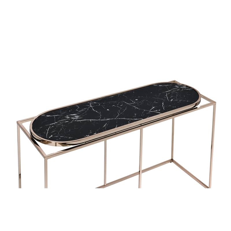 Metal Console Table in Champaign and Black C92398