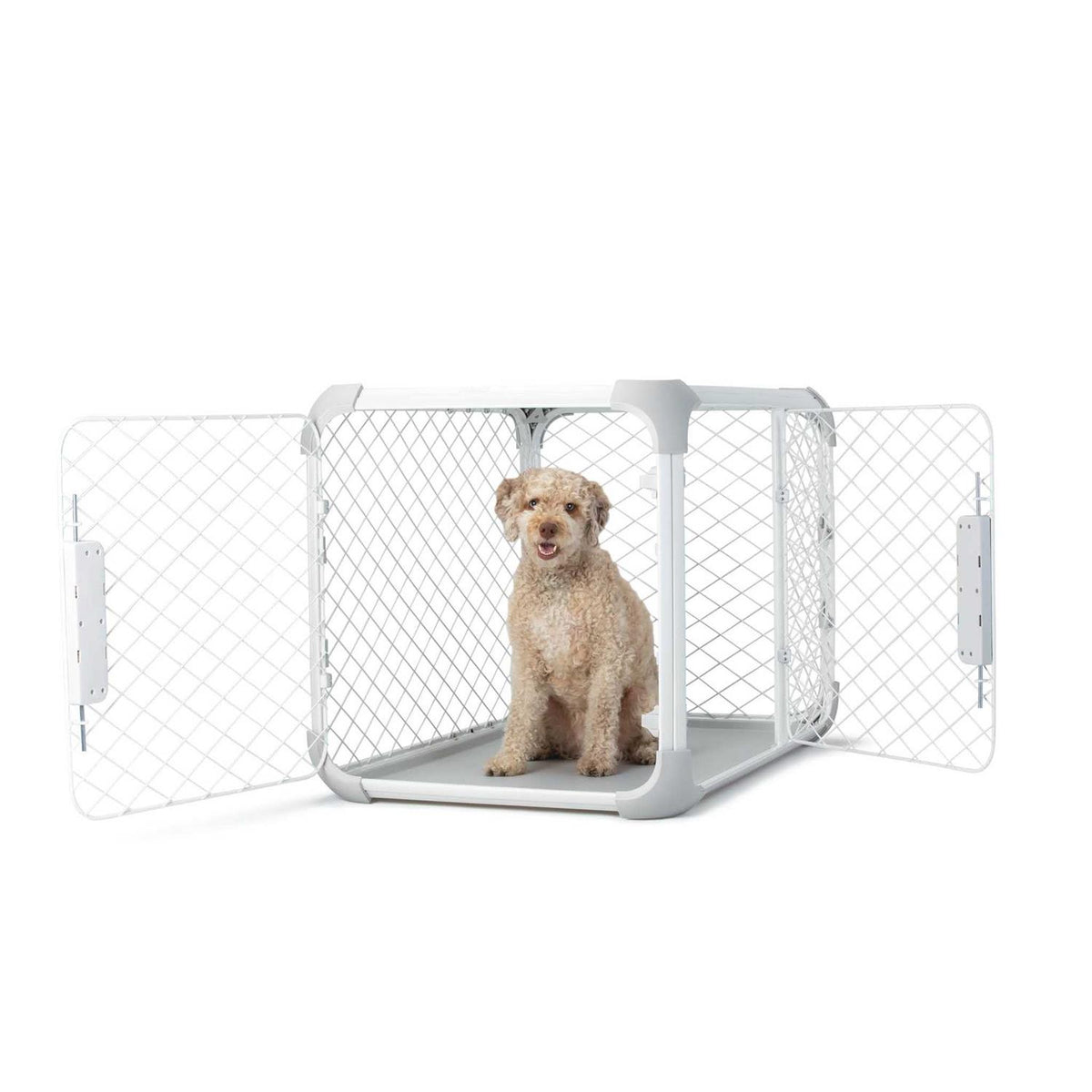 Dog Crate N280422